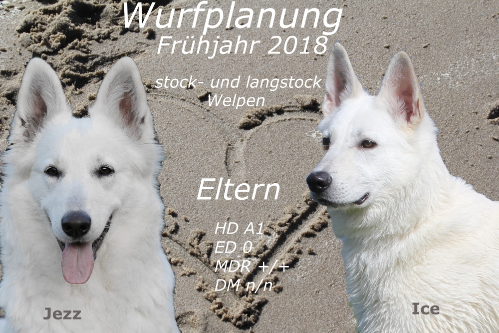Kuper